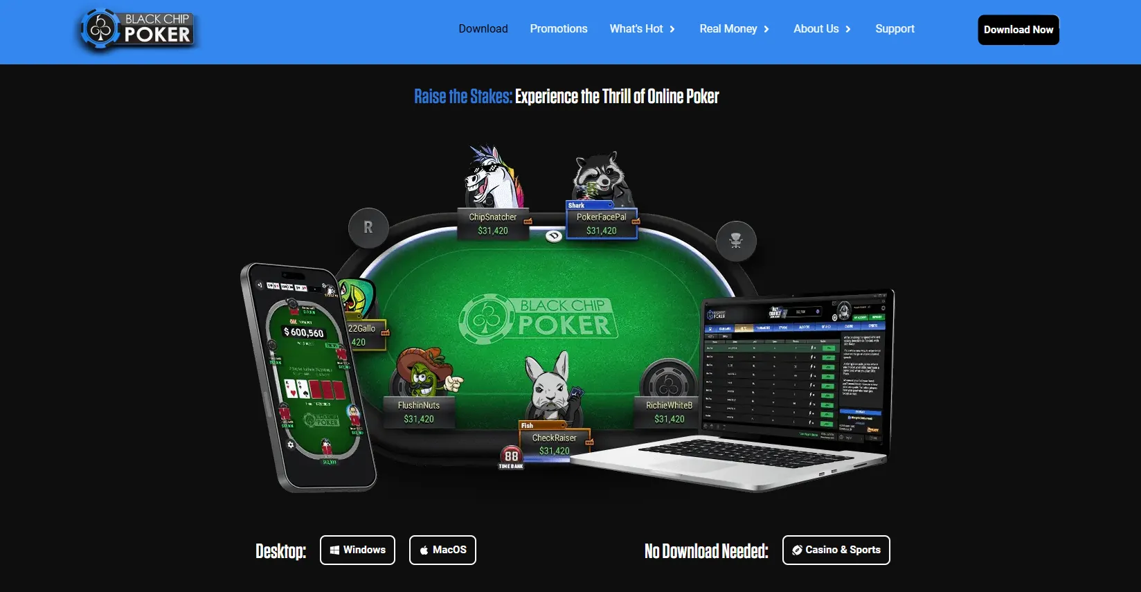 Készpénzes játékok (Cash Game) vs. Versenyek online póker magyar